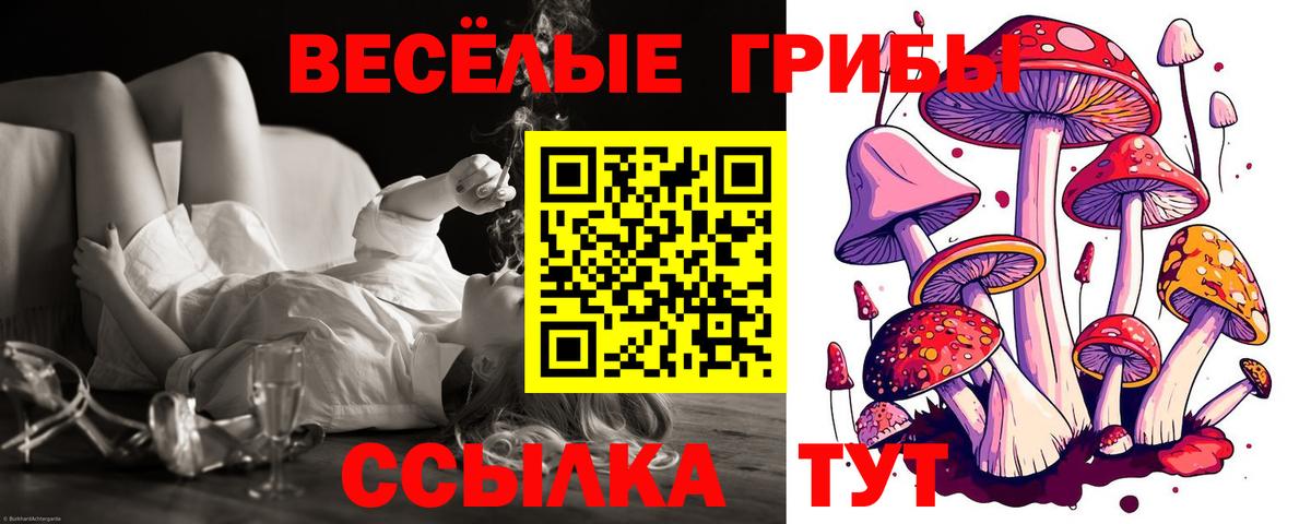 Галлюциногенные грибы Psilocybine cubensis Вятские Поляны